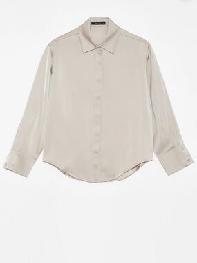 Hosta Silk Light Gray Button-Down Blouse